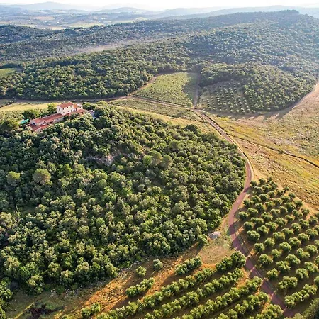 Farma Morisfarms - Santa Laura Cura Nuova